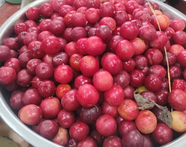 Wild Goose Plum - Image 3