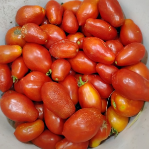 Tomato, diverse paste