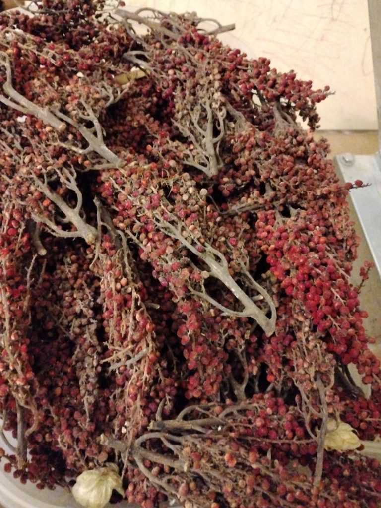 Sumac
