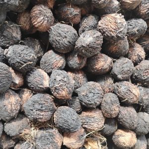 Black Walnut