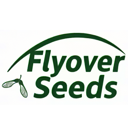Flyover Seeds