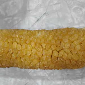 Corn, sweet