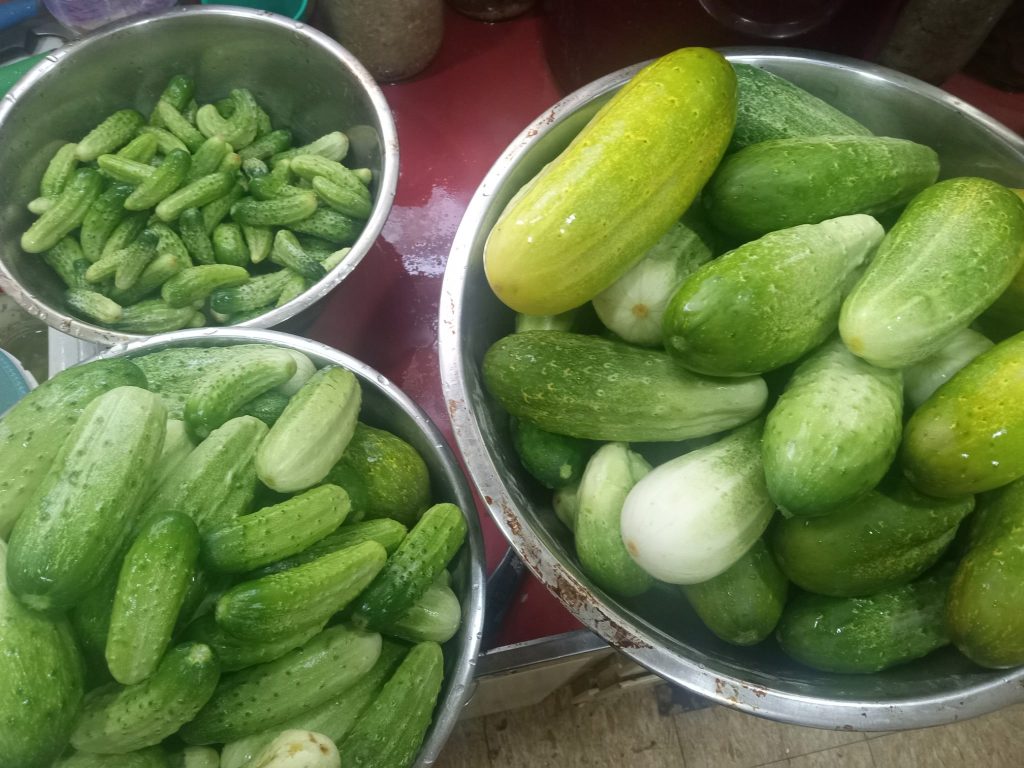 Cucumber, Pickling