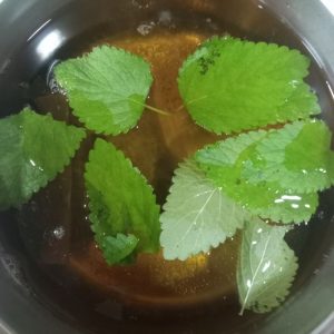 Lemon Balm