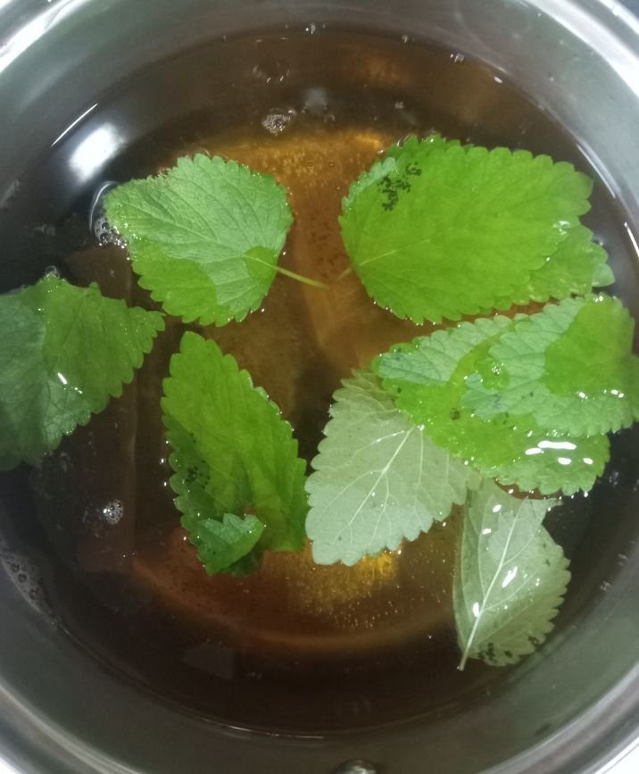 Lemon Balm