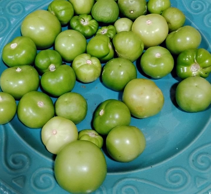 Tomatillo