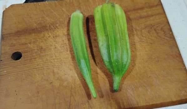 Okra, Becks Big Buck Snapping