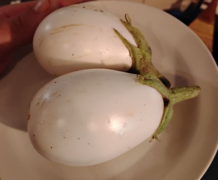 Mikulcik No Spray Eggplant