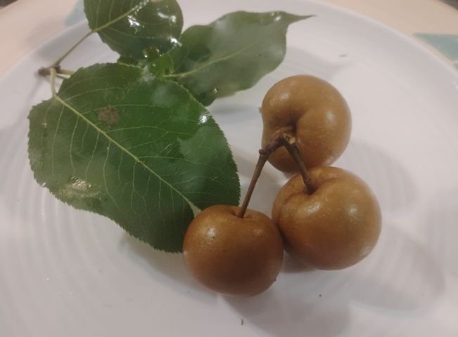 Pear, Korean crab