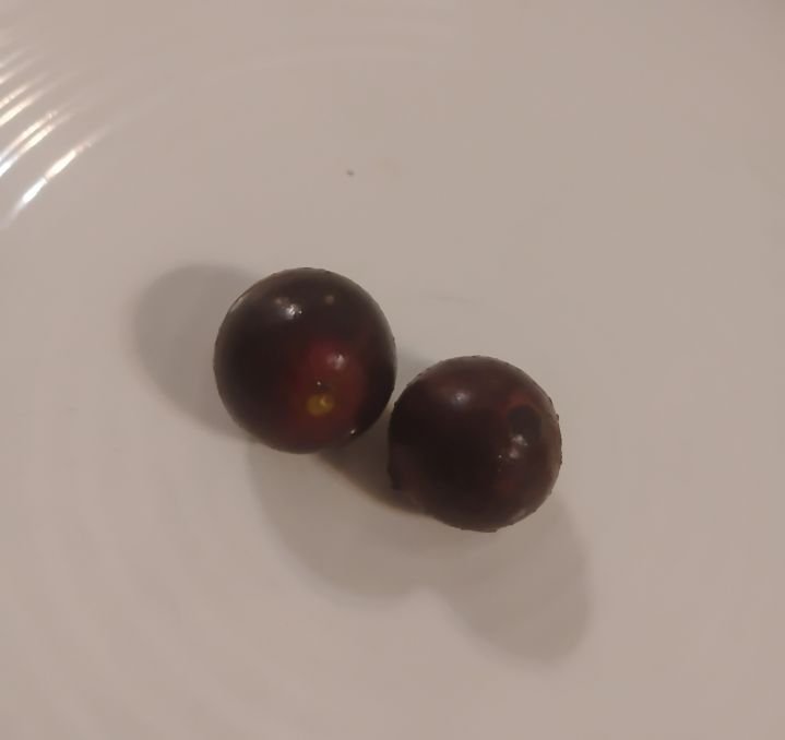 Grape, Hardy Muscadine
