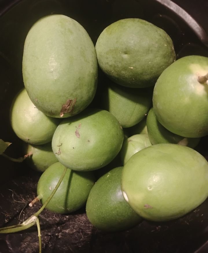 Passion Vine