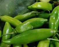Pepper, Aji Sweet